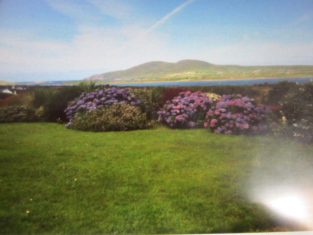 Ocean View B&B Killarney Eksteriør bilde